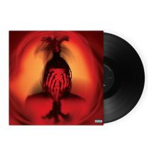 Load image into Gallery viewer, KIARI VINYL 2