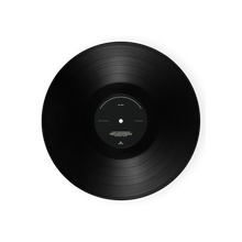 Load image into Gallery viewer, KIARI VINYL 2