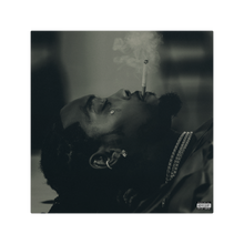 Load image into Gallery viewer, KIARI VINYL 3