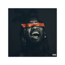 Load image into Gallery viewer, KIARI VINYL 4